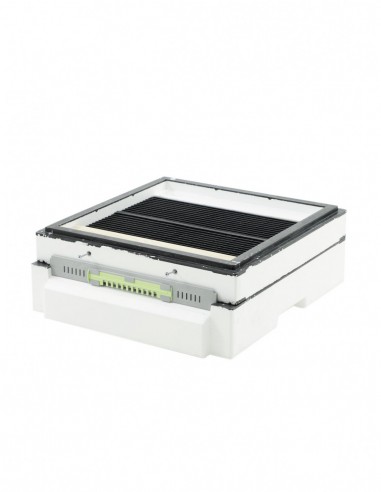 DENNICA WYSOKA Z SEGMENTOWYM POŁAWIACZEM PYŁKU...