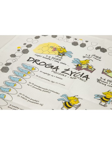 ŚCIERECZKA BAWEŁNIANA - 3 SZTUKI