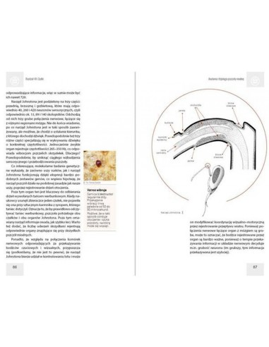 KSIĄŻKA - "ANATOMIA I FIZJOLOGIA PSZCZOŁY...