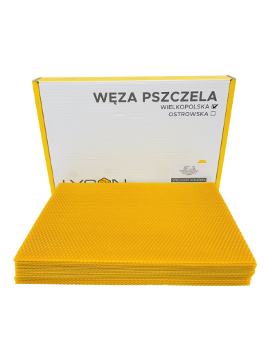 WĘZA WIELKOPOLSKA – 1KG