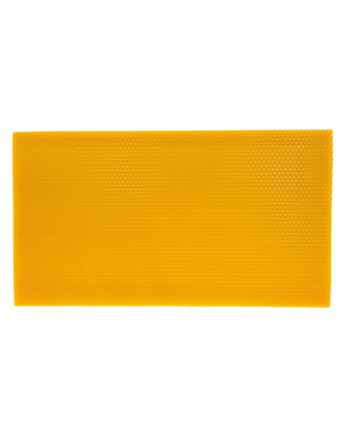 WĘZA WARSZAWSKA ZWYKŁA – 5KG