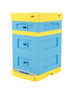 UL LANGSTROTH Z DENNICĄ NISKĄ - MALOWANY 2