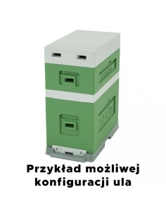 UL 6-RAMKOWY DADANT Z WRĘGAMI - MALOWANY - ZIELONY 2