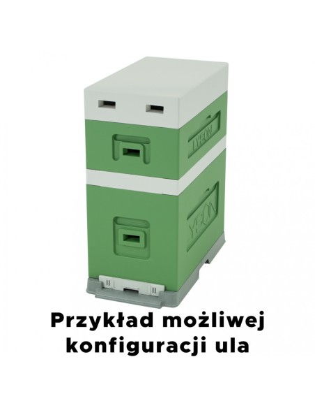 UL 6-RAMKOWY DADANT Z WRĘGAMI - MALOWANY - ZIELONY