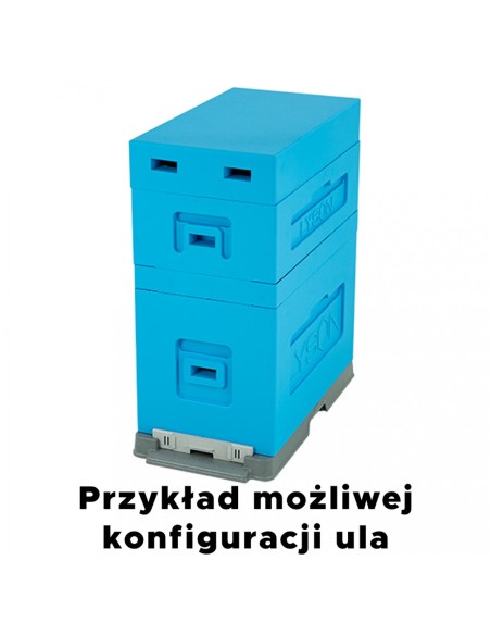 UL 6-RAMKOWY DADANT Z WRĘGAMI - MALOWANY - NIEBIESKI