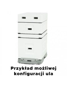 UL 6-RAMKOWY WIELKOPOLSKI Z WRĘGAMI - NIEMALOWANY 2