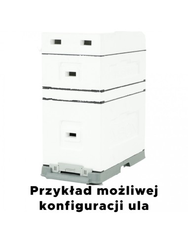UL 6-RAMKOWY DADANT Z WRĘGAMI - NIEMALOWANY