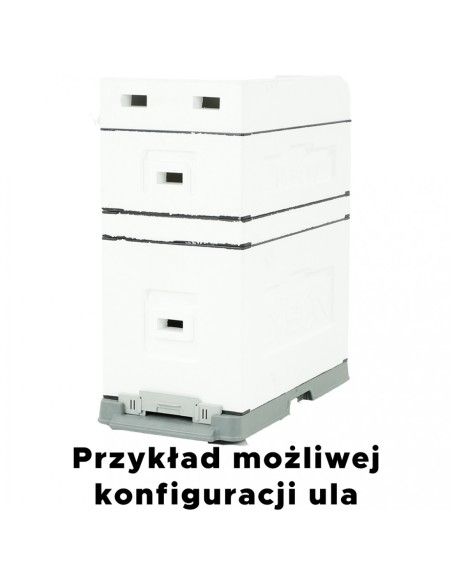 UL 6-RAMKOWY DADANT Z WRĘGAMI - NIEMALOWANY