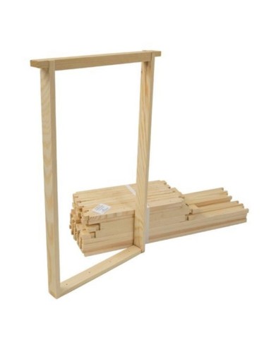 RAMKA WARSZAWSKA ZWYKŁA - 10 SZTUK