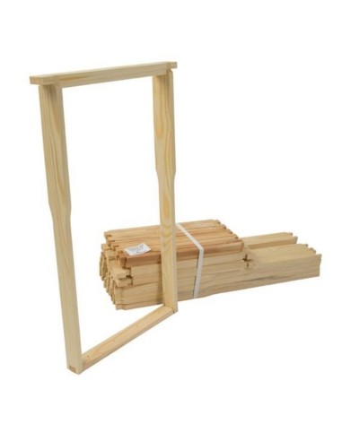 RAMKA WARSZAWSKA ZWYKŁA HOFFMANOWSKA - 10 SZTUK