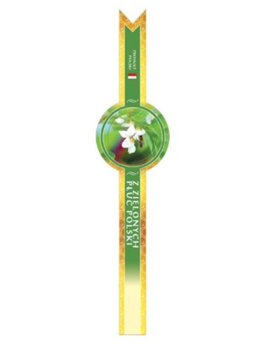 BANDEROLE "Z ZIELONYCH PŁUC POLSKI" 41MM X...