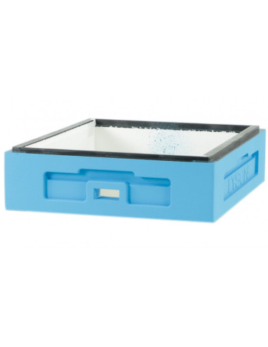 KORPUS APIPOL, LANGSTRORH 1/2 BEZ WRĘGÓW -...