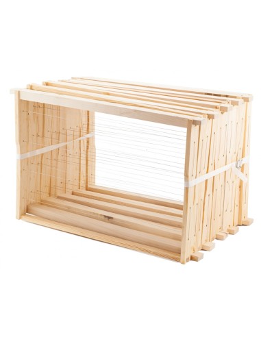 GOTOWA RAMKA DADANT - 100 SZTUK (DOTACJA)