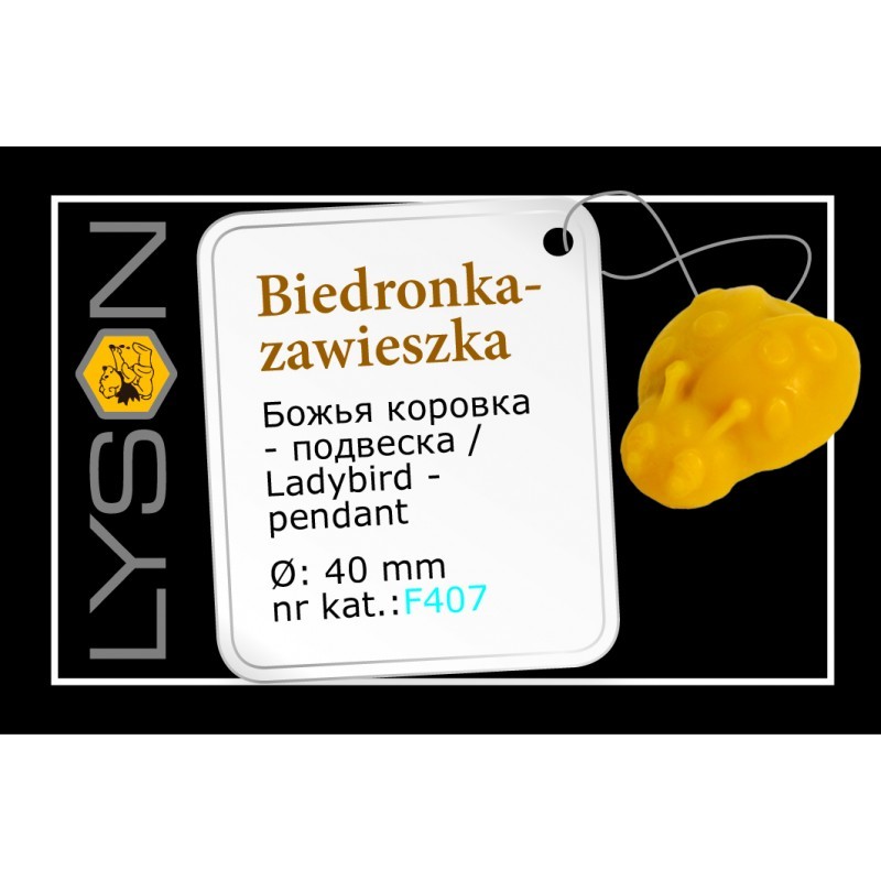 FORMA SILIKONOWA - BIEDRONKA - ZAWIESZKA