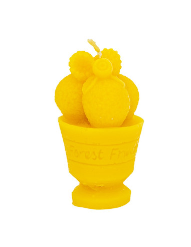 FORMA SILIKONOWA - LODY Z MALINĄ