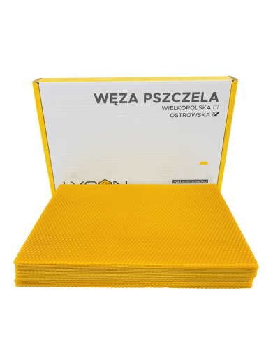 WĘZA OSTROWSKIEJ TRUTOWA – 1KG