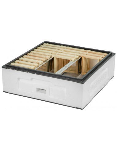 PRZEGRODA DO KORPUSU WIELKOPOLSKIEGO 1/2 POD...