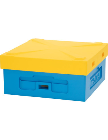 Daszek Niski Wielkopolski Ostrowskiej z...