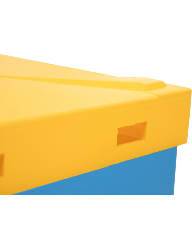 Daszek Niski Wielkopolski Ostrowskiej z...