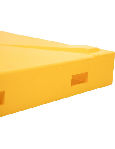 Daszek Niski Wielkopolski Ostrowskiej z...