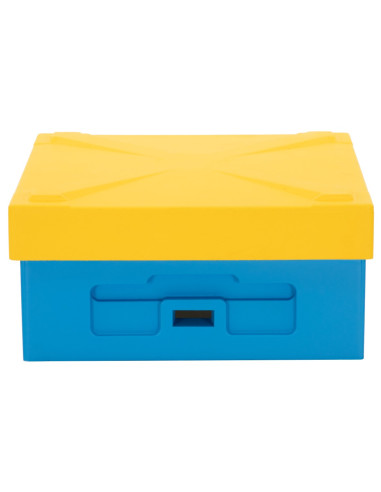 Daszek Niski Wielkopolski Ostrowskiej z...