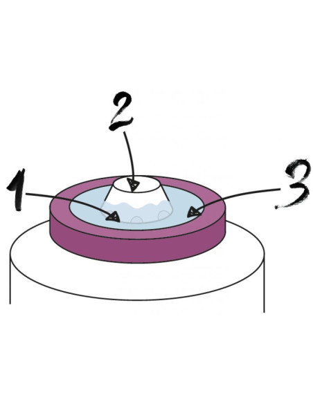 Wielofunkcyjny Słój 8L do Nalewek, Wina i Przetworów