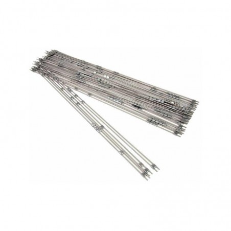 SEGMENT - BELECZKA WARSZAWSKA ZWYKŁA