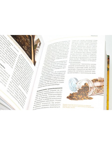 Książka – „Apiterapia: Leczenie miodem i innymi produktami pszczelimi”
