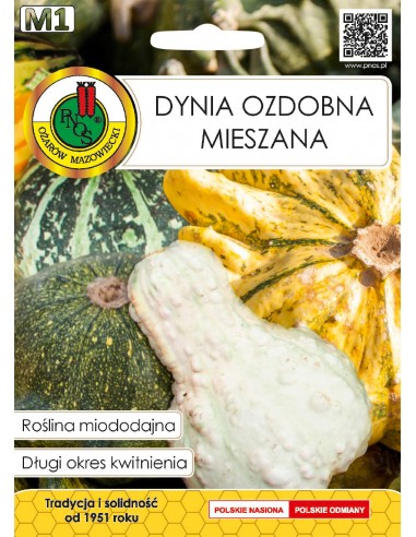 NASIONA - DYNIA OZDOBNA 2G