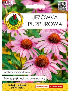 NASIONA - JEŻÓWKA PURPUROWA 1G