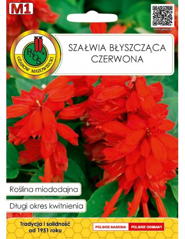 NASIONA - SZAŁWIA BŁYSZCZĄCA CZERWONA 0.5G