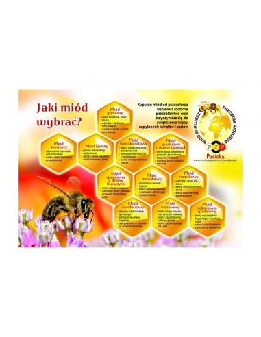 TABLICA INFORMACYJNA - "JAKI MIÓD WYBRAĆ ?" - XL