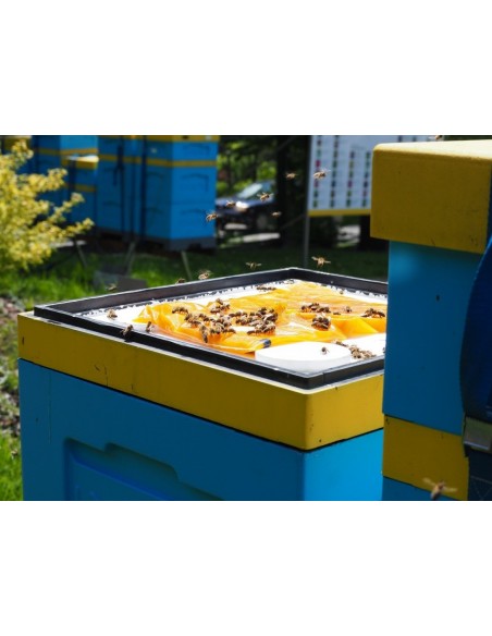 APIKAND Z PYŁKIEM - CIASTO - 20 X 1KG - KARTON