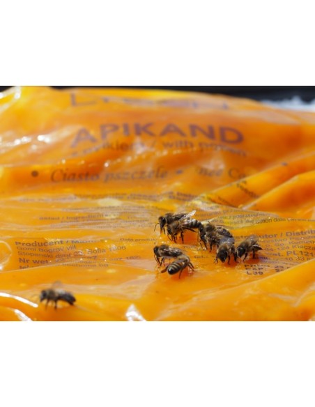 APIKAND Z PYŁKIEM - CIASTO - 20 X 1KG - KARTON