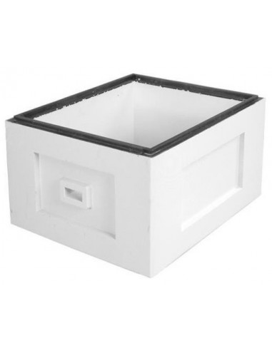 KORPUS WIELKOPOLSKI 12 RAMKOWY - NIEMALOWANY