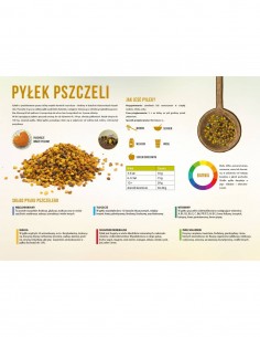 TABLICA EDUKACYJNA - PYŁEK PSZCZELI - XXL