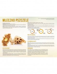 TABLICA EDUKACYJNA - MLECZKO PSZCZELE - XL