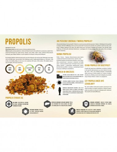 TABLICA EDUKACYJNA - PROPOLIS - XL