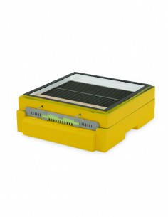 DENNICA WYSOKA Z SEGMENTOWYM POŁAWIACZEM PYŁKU -...