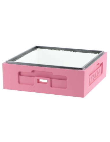 KORPUS WIELKOPOLSKI 1/2 - RÓŻOWY