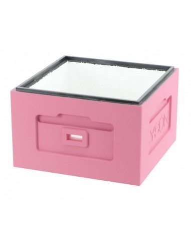 KORPUS WIELKOPOLSKI - RÓŻOWY