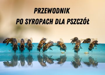 Przewodnik po Syropach dla Pszczół