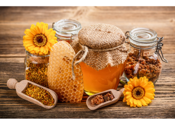 Zdrowie i Korzyści Płynące z Produktów Pszczelich